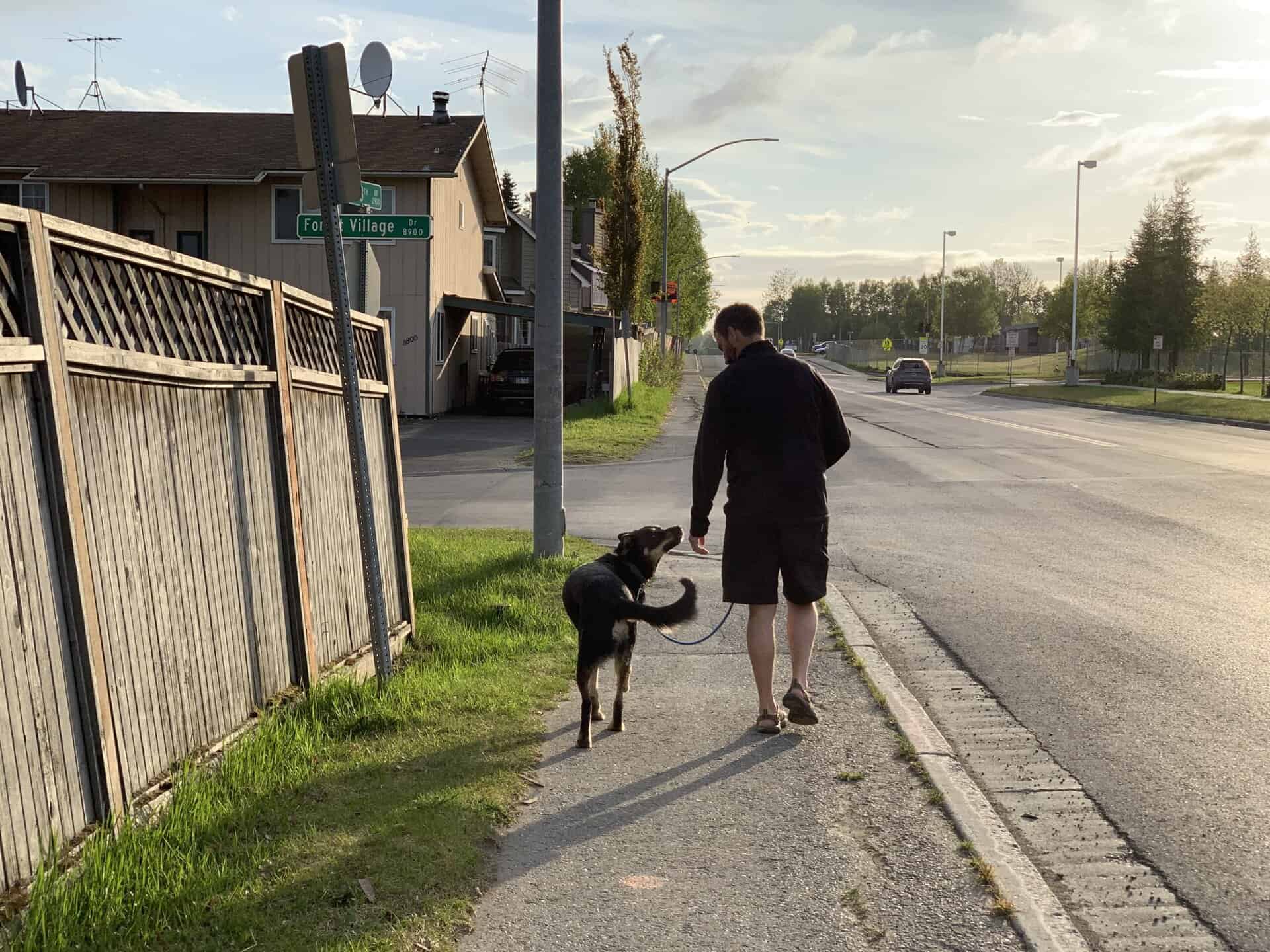 Man walking dog on sidewalk, promoting injury prevention for dog walkers.