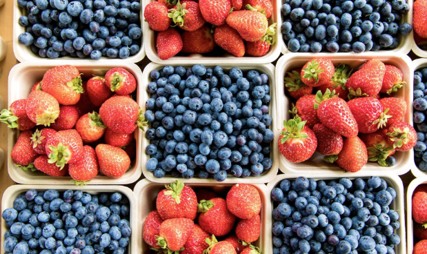 nutrition after surgery tips