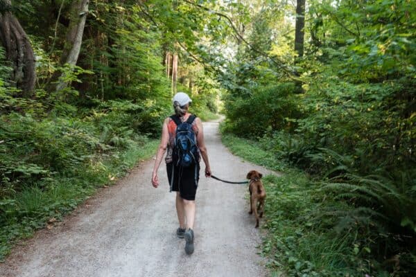 Dog Walking Injury Prevention